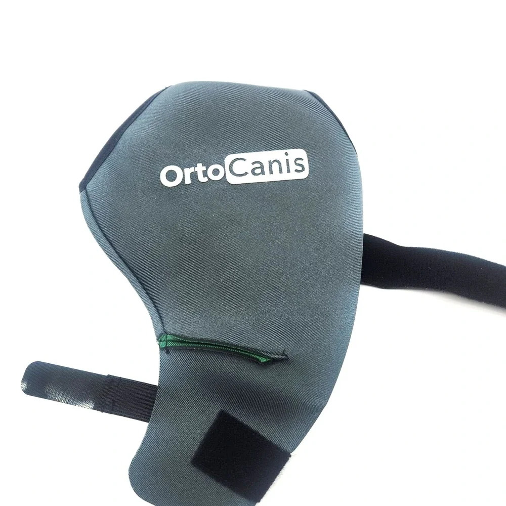 Large Size Dog Knee Brace for Right Hind Leg – Ortocanis ACL Support‎